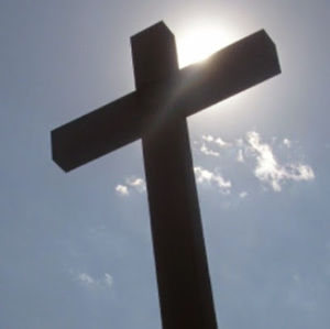 Meet your Posher, Ronda